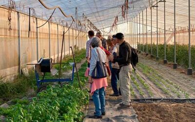 LA ORTIGA VISITA LA HUERTA EL CARACOL EN UTRERA, SEVILLA